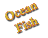 ocean fish